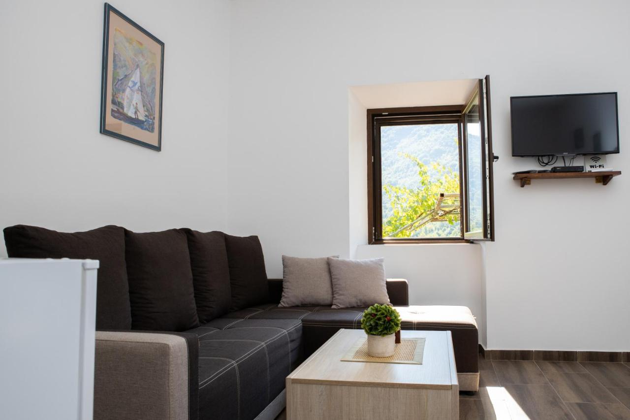 Aleksa Guest House Cetinje Exterior foto