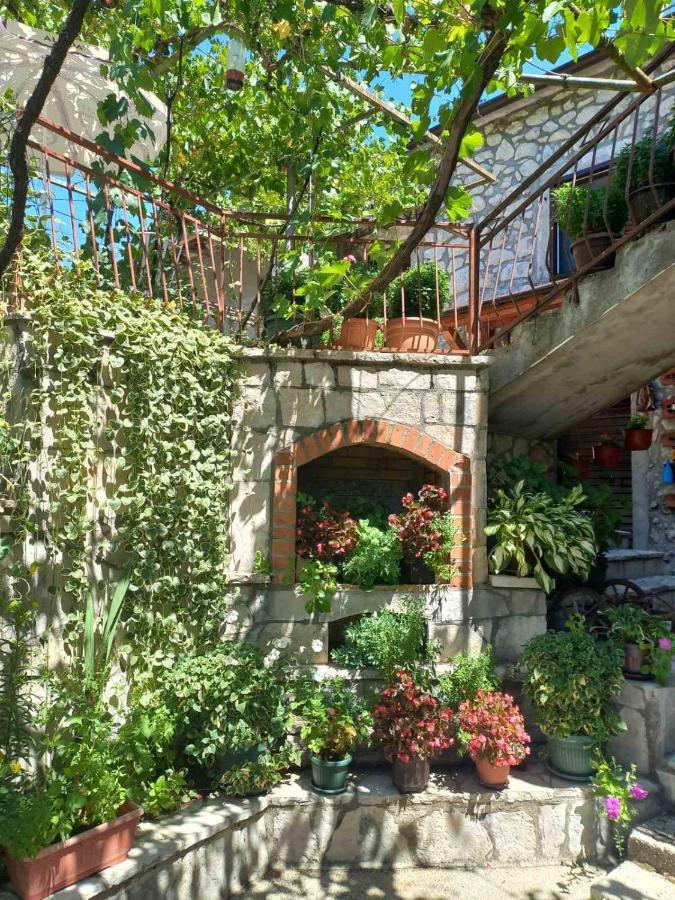 Aleksa Guest House Cetinje Exterior foto